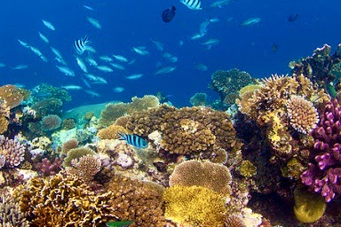 Aquarium de Paris